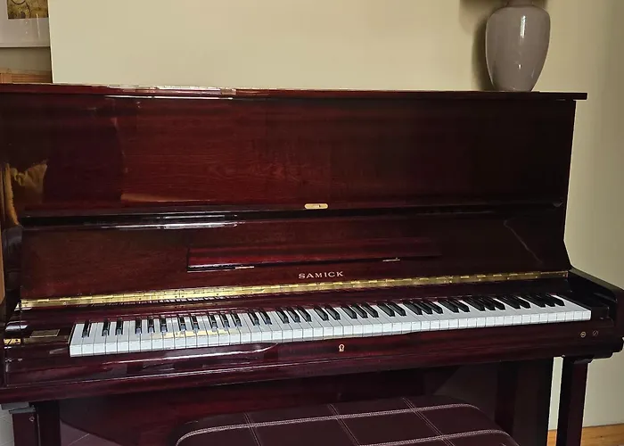 公寓 Trindade Apartamento Centro Historico